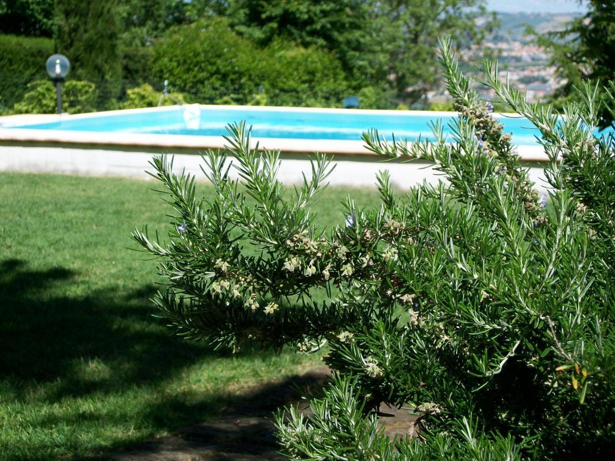 B&B Luna Blu Montesilvano Marina Extérieur photo
