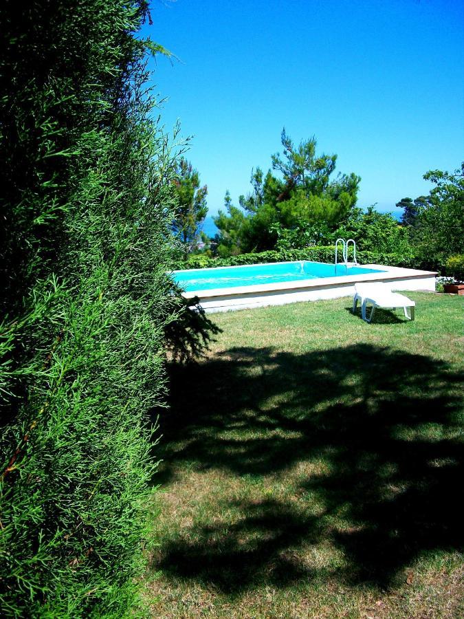 B&B Luna Blu Montesilvano Marina Extérieur photo