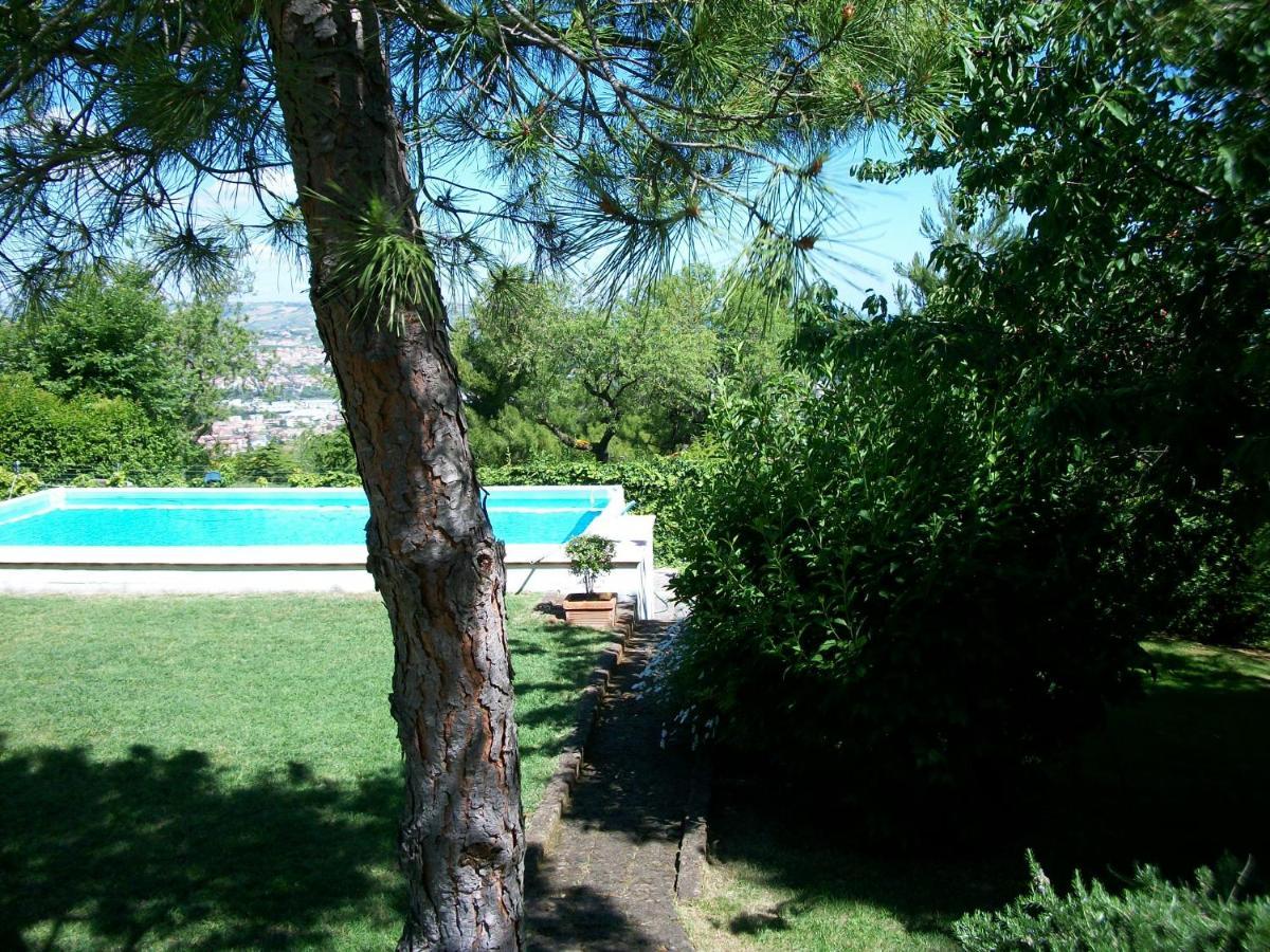 B&B Luna Blu Montesilvano Marina Extérieur photo